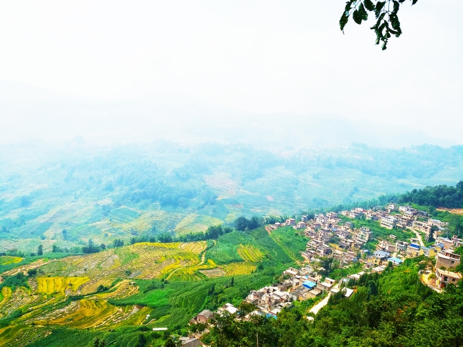 微信图片_20190831212229 微信图片_20190831212229