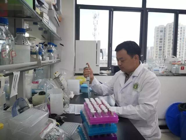 “袁三代”吴俊：坚守田间的“稻草人”