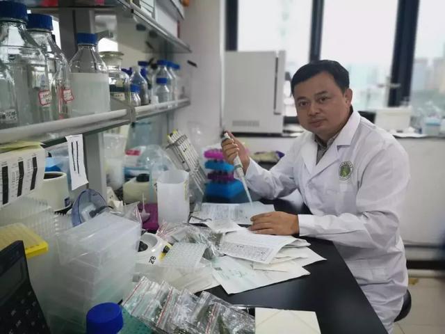 “袁三代”吴俊：坚守田间的“稻草人”