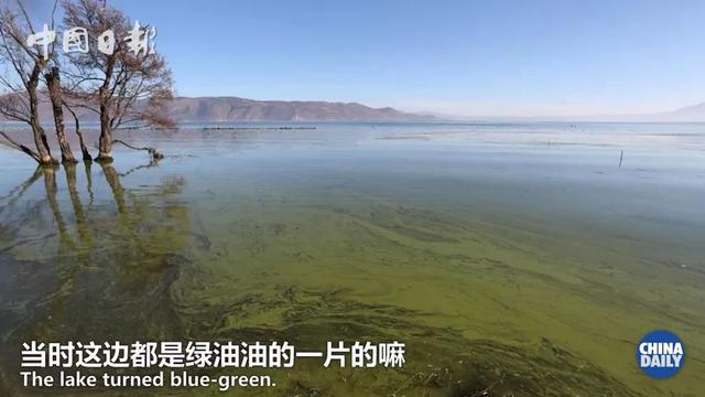 老外到大理洱海寻找“诗和远方”，可这里的客栈怎么关了大半？