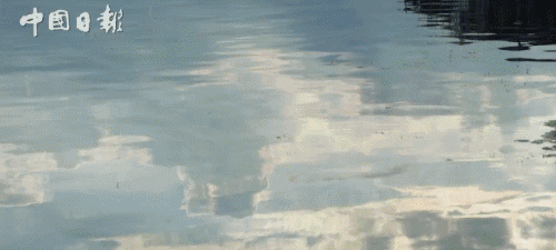 老外到大理洱海寻找“诗和远方”，可这里的客栈怎么关了大半？