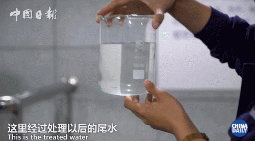 老外到大理洱海寻找“诗和远方”，可这里的客栈怎么关了大半？