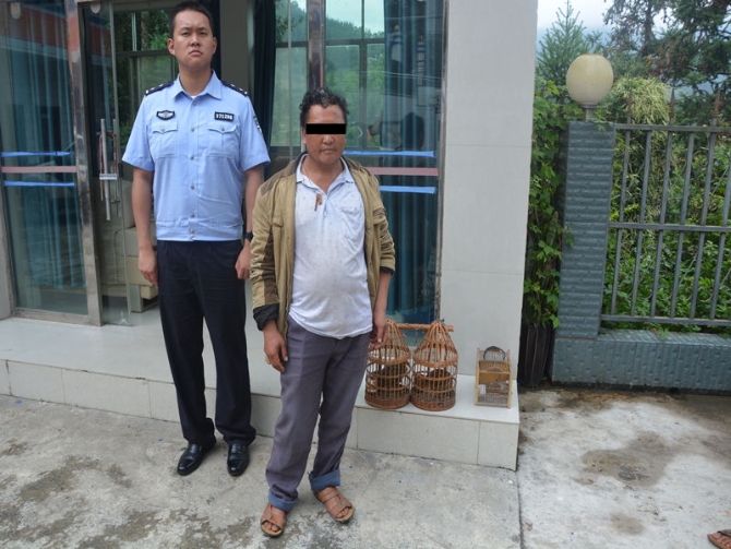 打击野生动物及制品贩售配图