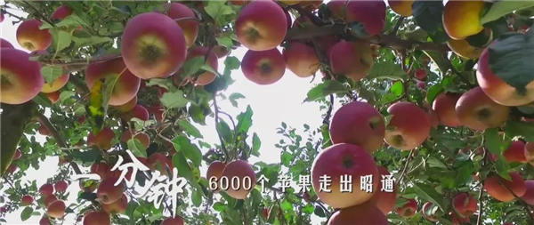 00300898620_f0696918 00300898620_f0696918