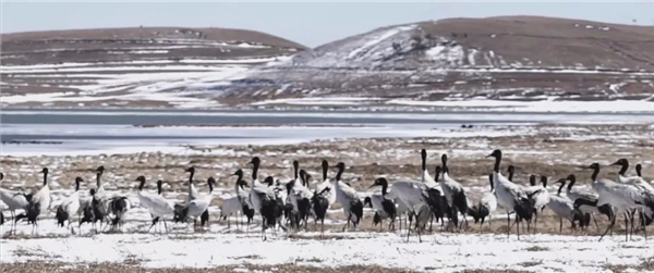 00300898637_04a76de2 00300898637_04a76de2