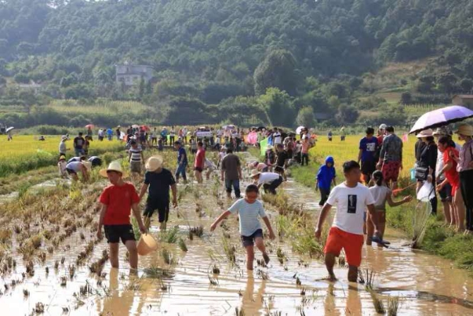 微信图片_201909101628001 微信图片_201909101628001