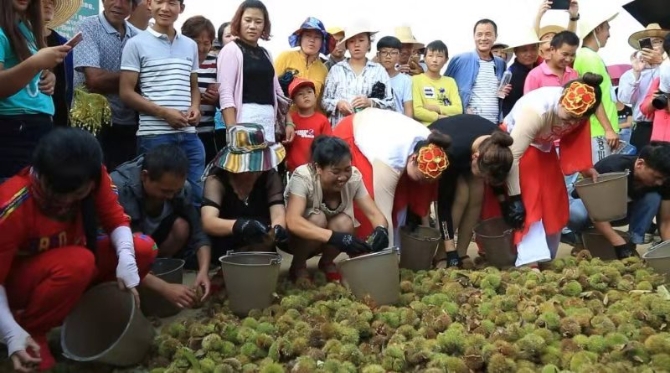 微信图片_201909101628005 微信图片_201909101628005