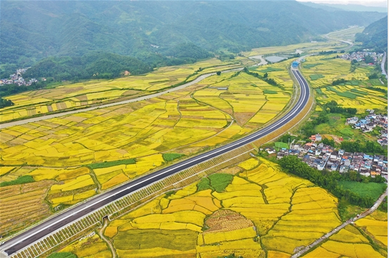 QQ截图20190918080831