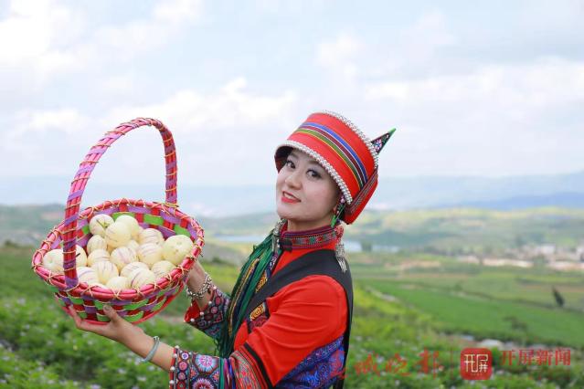 石林县将举办2019年第二届农民丰收节