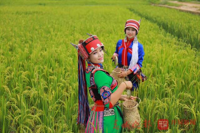 石林县将举办2019年第二届农民丰收节