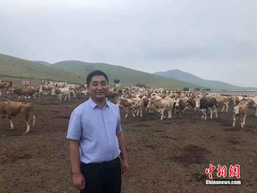 吴云波和牛群在一起。 冷昊阳 摄 点击进入下一页