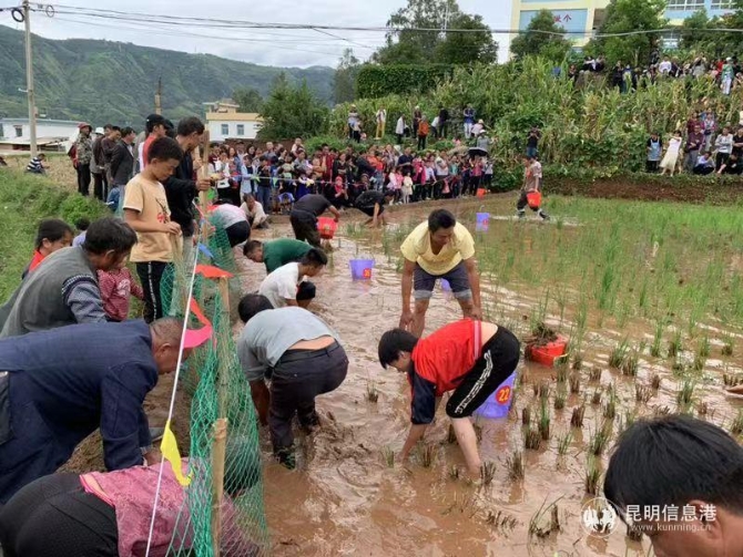 微信图片_201909231105014 微信图片_201909231105014