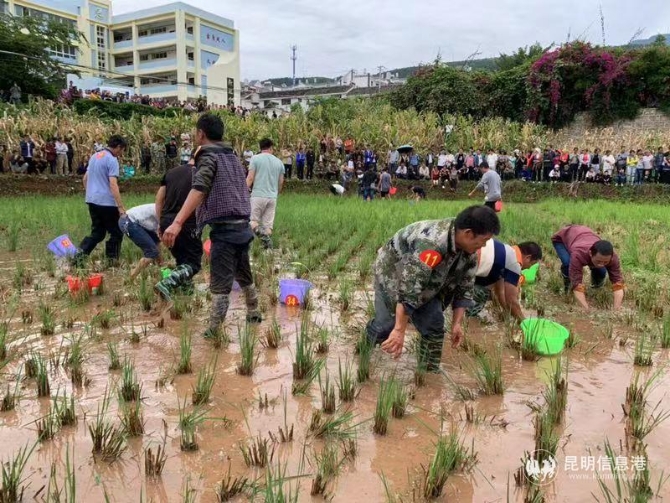 微信图片_201909231105013 微信图片_201909231105013