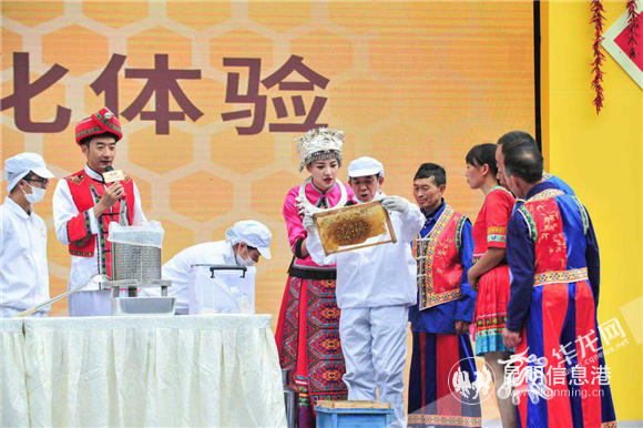 2ca33f99-eac0-472b-919c-3a2e3d64d213