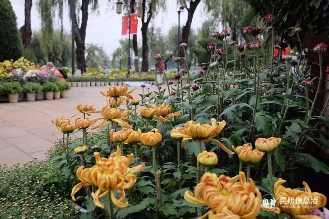 微信图片_20191008162116_副本 微信图片_20191008162116_副本