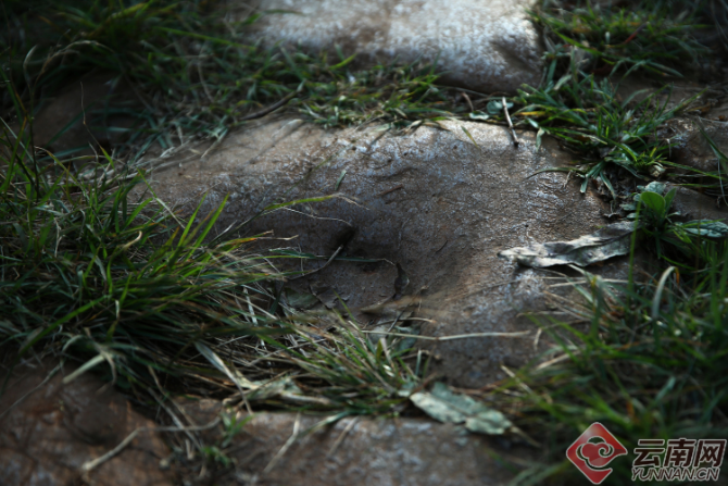 00300966080_f44ee1f7