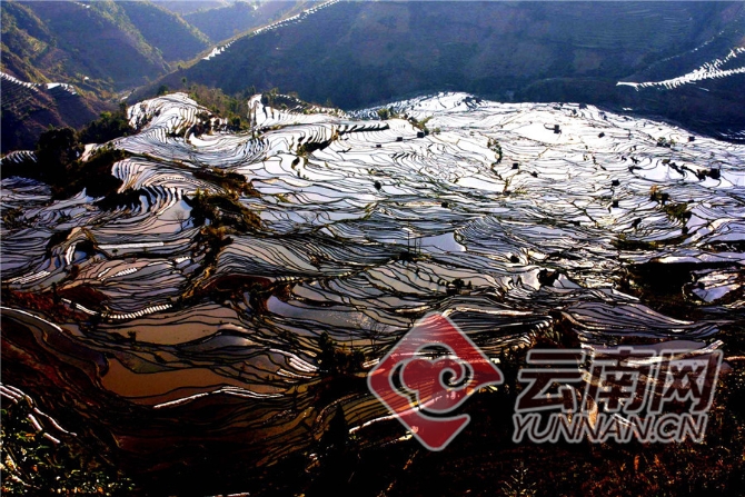 00300964691_6905987b 00300964691_6905987b