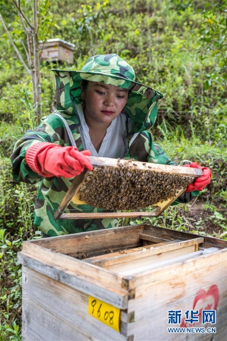 (图文互动)(7)太阳照耀“人类童年”——新时代直过民族脱贫攻坚纪事