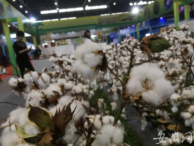 201397912b64735071f0318988997bf6 201397912b64735071f0318988997bf6