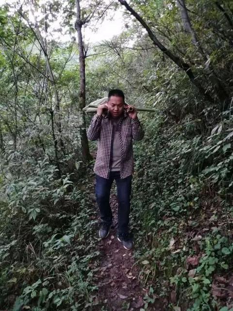 竹竿抬行2.5公里就医