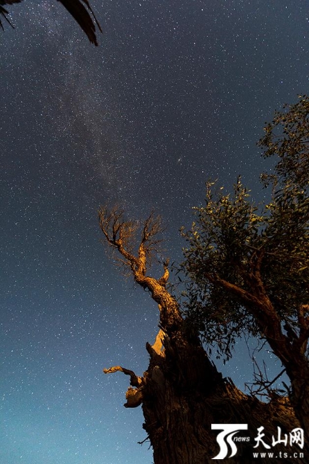 银河之下 雷勇摄 银河之下 雷勇摄