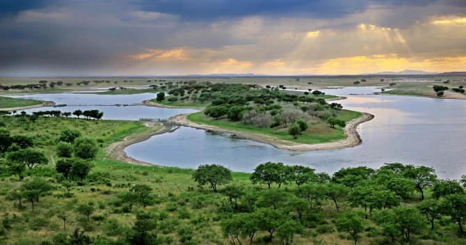 科尔沁国家级自然保护区 国建军 摄