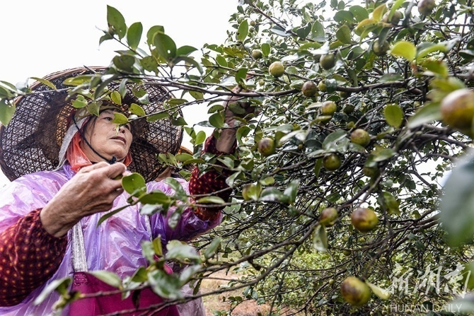 1571642328213309.jpg?x-oss-process=style/w10 201810231639476967.jpg?x-oss-process=style/w10