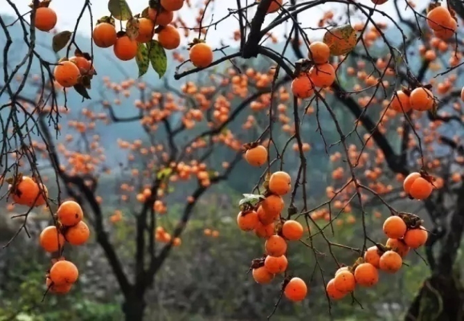 1571642374194580.jpg?x-oss-process=style/w10 cw2G-hphsupx5426366.jpg?x-oss-process=style/w10