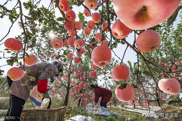 1571642595480643.jpg?x-oss-process=style/w10 add53623-286e-458b-8a27-2489a59555b5.jpg?x-oss-process=style/w10