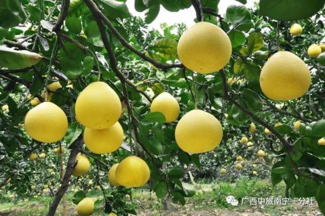 1571642673812273.jpeg?x-oss-process=style/w10 7cd7ba36faf04205bf2a16a2d9182f84.jpeg?x-oss-process=style/w10