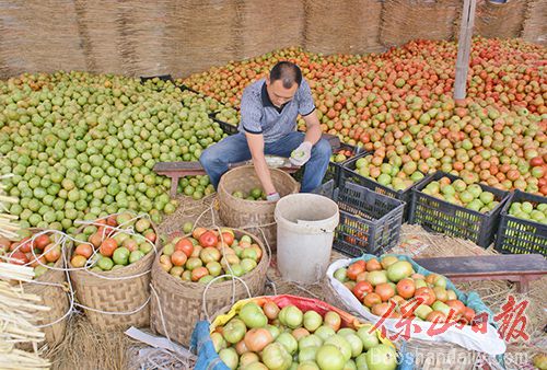 e0a99e5efa29b330eb7b53470a9ebda2 (1).jpg