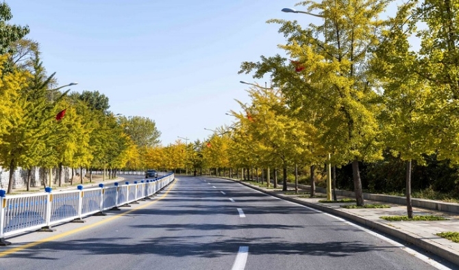 解决问题 解决问题