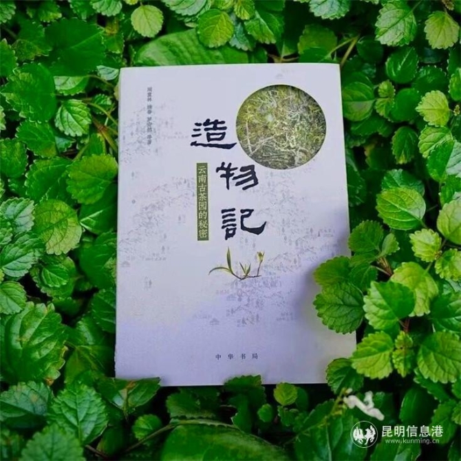 QQ图片20191026114621