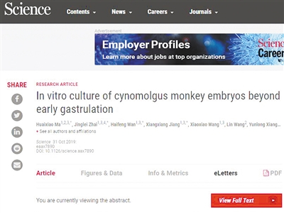 猴子一生中“最重要时刻”首次体外重现