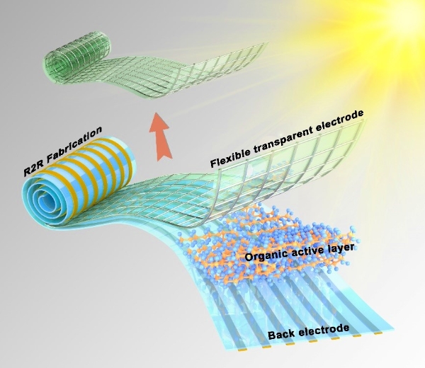柔性透明电极与柔性有机太阳能电池的示意图（图片由南开大学提供）