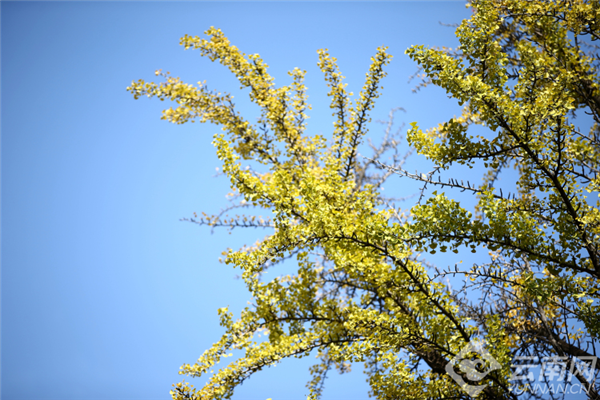 00301196918_4c78f435