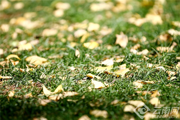 00301196921_9f93fb53