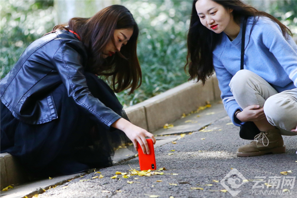 00301196922_24a7dd48