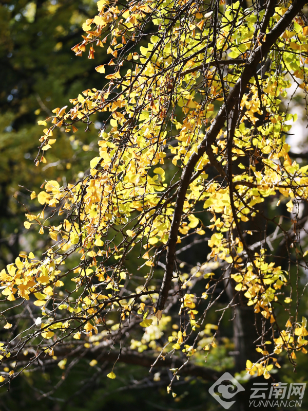 00301196928_a4cec75c