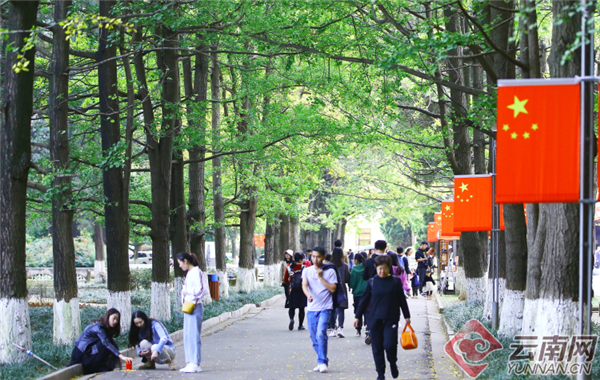 云南大学东陆校园游人如织