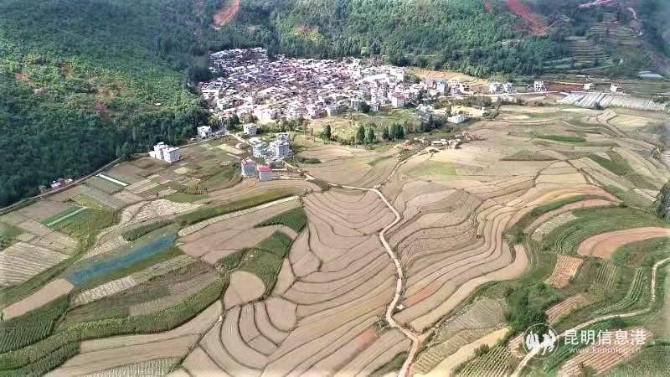 1c37957ee17b97946df067729aa69a5