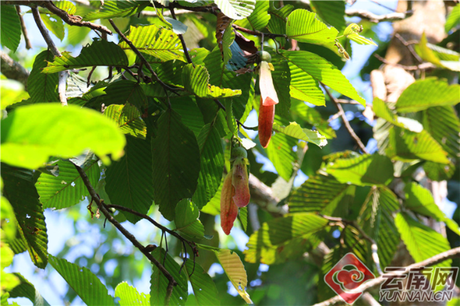 00301204661_cbb8eae73