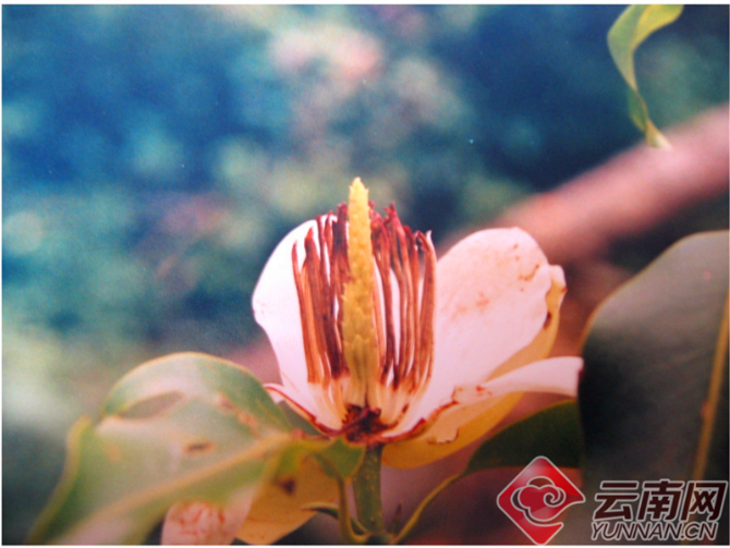 00301204658_f1acbbca6