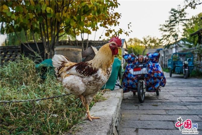 dcbdb430-f954-40eb-b295-a15ddf18bfad_batchwm