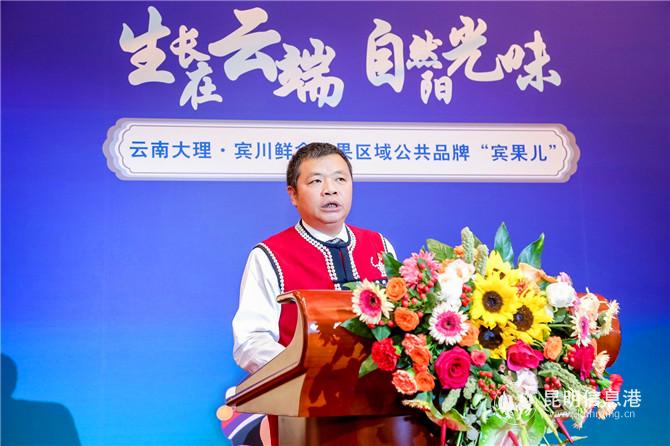 中共大理州委常委、宾川县委书记岳黎松致辞