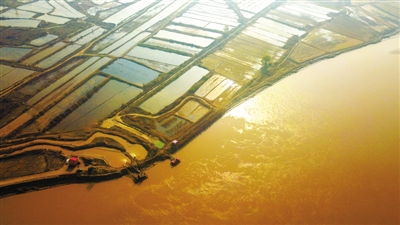 让黄河成为造福人民的幸福河 让黄河成为造福人民的幸福河