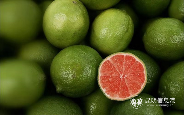 1_%E4%BE%9D%E6%89%98%E8%B5%84%E6%BA%90%E4%BC%98%E5%8A%BF%20%E5%8A%A9%E5%8A%9B%E4%BA%91%E6%9E%9C%E4%BA%A7%E4%B8%9A%E5%8F%91%E5%B1%95473 1_%E4%BE%9D%E6%89%98%E8%B5%84%E6%BA%90%E4%BC%98%E5%8A%BF%20%E5%8A%A9%E5%8A%9B%E4%BA%91%E6%9E%9C%E4%BA%A7%E4%B8%9A%E5%8F%91%E5%B1%95473