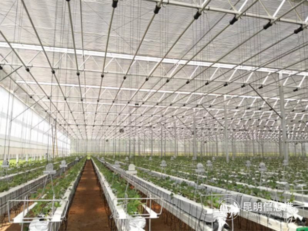 1_%E4%BE%9D%E6%89%98%E8%B5%84%E6%BA%90%E4%BC%98%E5%8A%BF%20%E5%8A%A9%E5%8A%9B%E4%BA%91%E6%9E%9C%E4%BA%A7%E4%B8%9A%E5%8F%91%E5%B1%951519 1_%E4%BE%9D%E6%89%98%E8%B5%84%E6%BA%90%E4%BC%98%E5%8A%BF%20%E5%8A%A9%E5%8A%9B%E4%BA%91%E6%9E%9C%E4%BA%A7%E4%B8%9A%E5%8F%91%E5%B1%951519