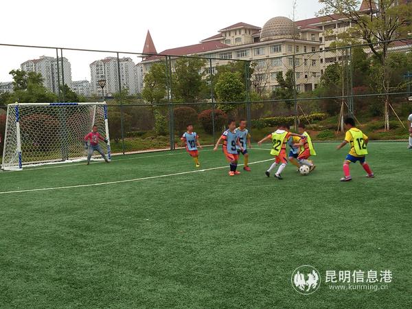 图三 足球场上英姿飒爽的小将们_副本 图三 足球场上英姿飒爽的小将们_副本