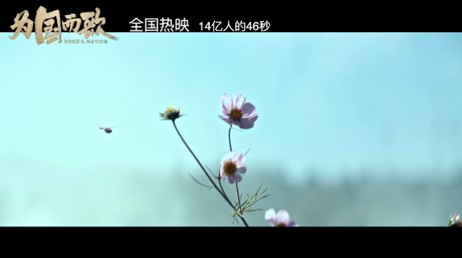261551_670x670.png?1574068205168